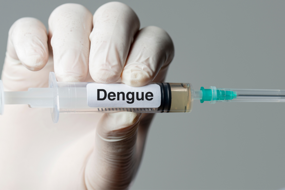 dengue contagio