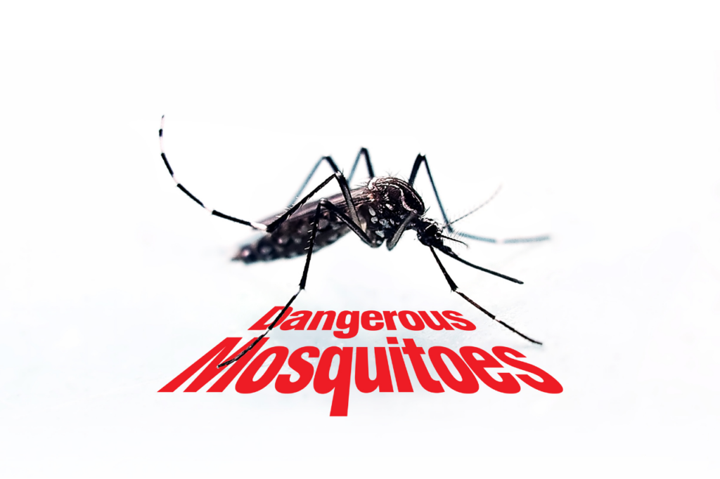 dengue paesi a rischio