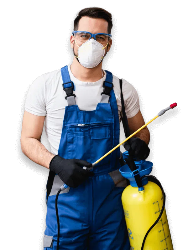Disinfestatore Professionale a Catania