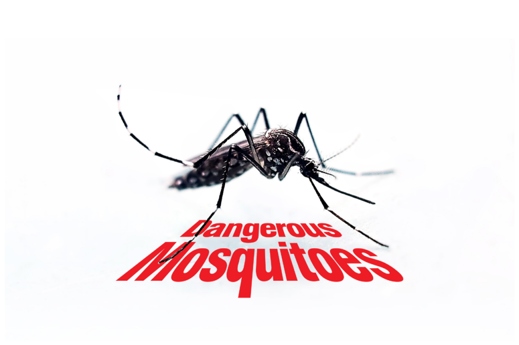 sconfiggere le zanzare